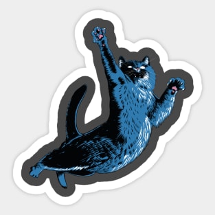 Crazy cat! Sticker